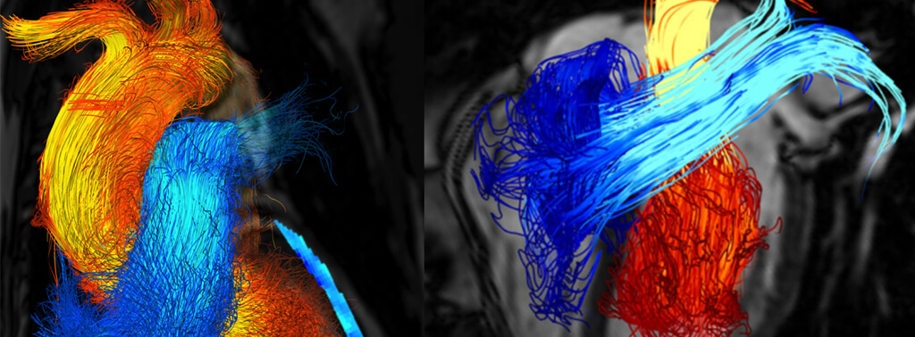 CardioMeeting 2024